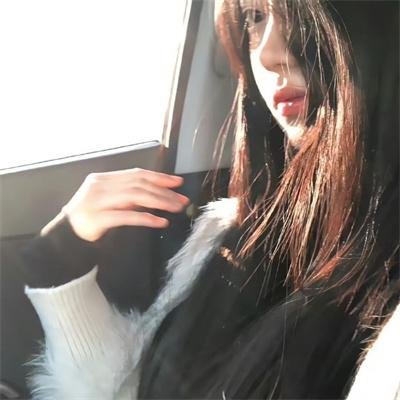 长毛狗